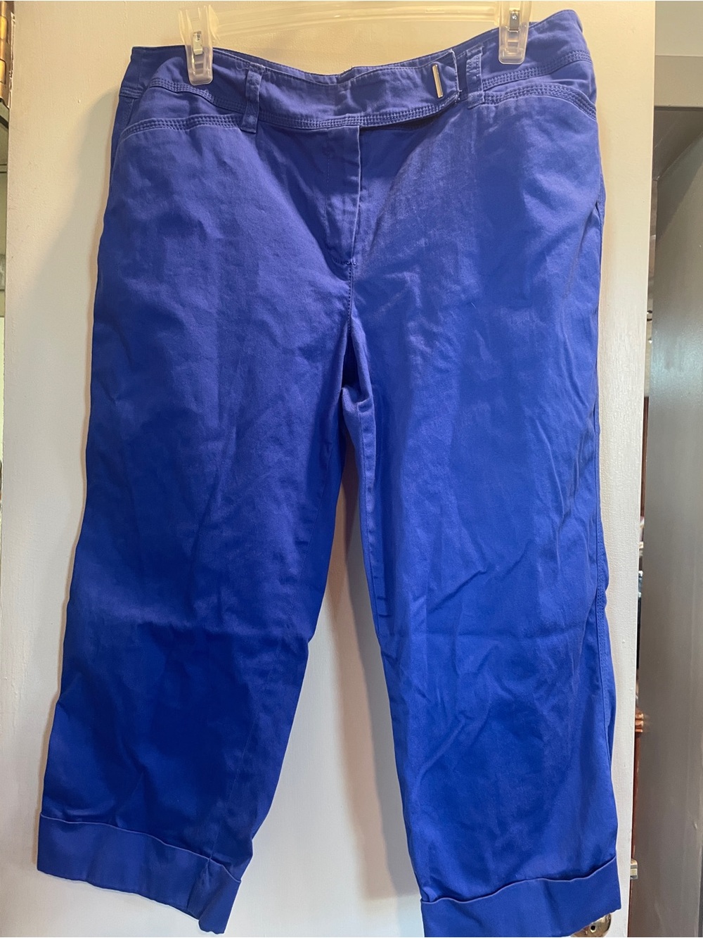 Zac & Rachel Cobalt Blue Chino Pants women’s size 12